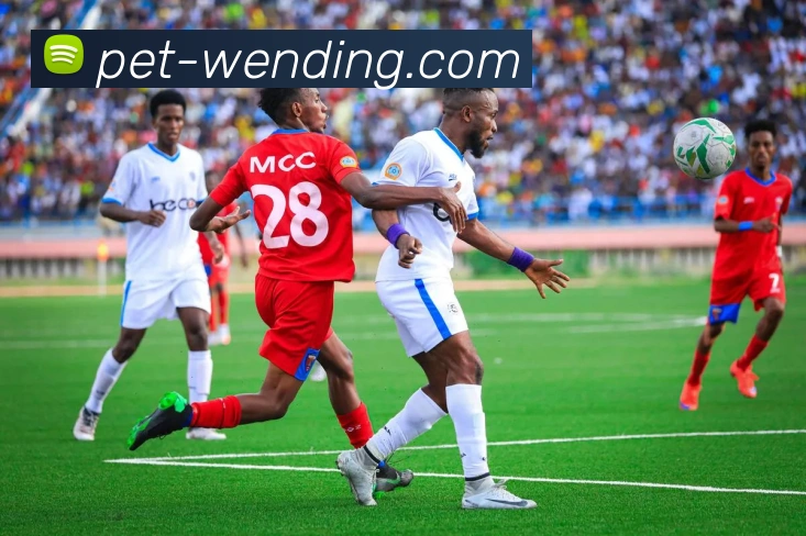 App Interface Preview