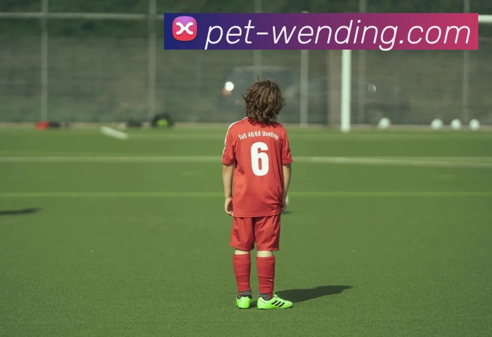 问鼎娱乐appAPP 封面图