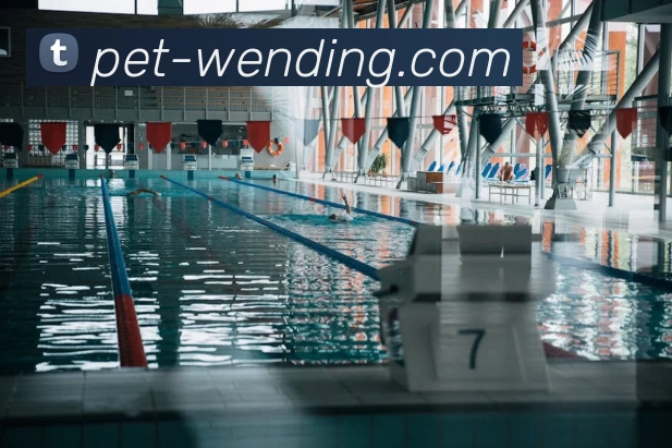 数据防护可视化